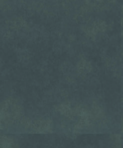 Therdex Stone 1 Rustique 100x100 kleur 10023