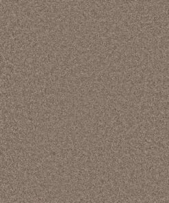 Ambiant - 2160060243