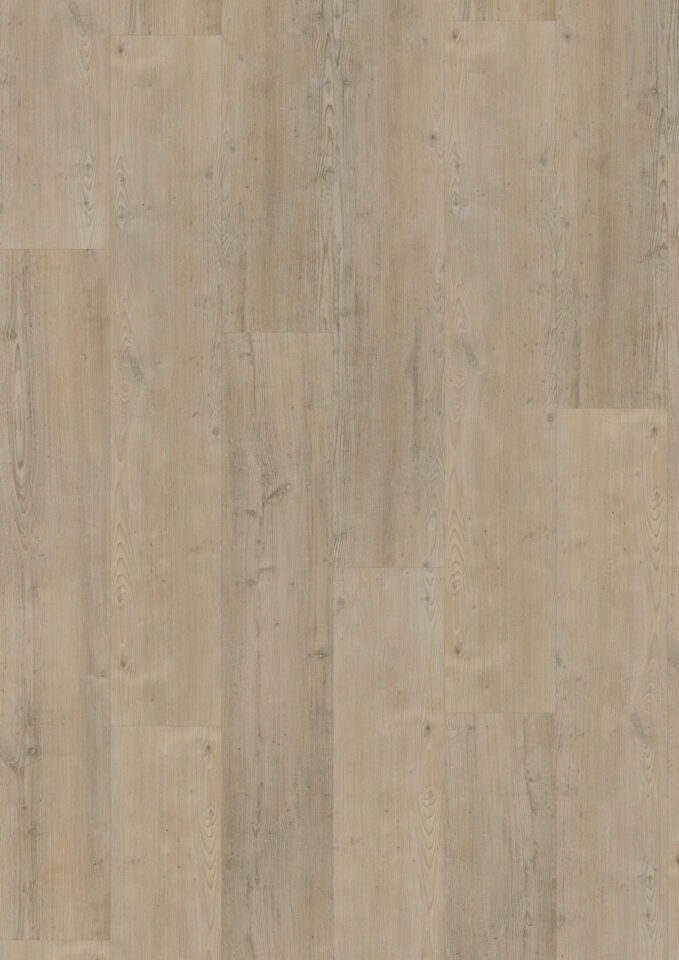 Floors & More