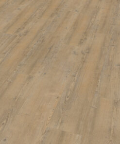 Alternative view of Naaldhout 4203 click