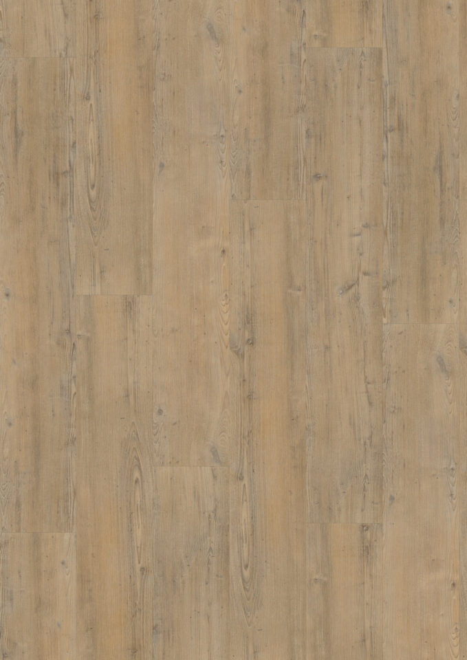 Floors & More