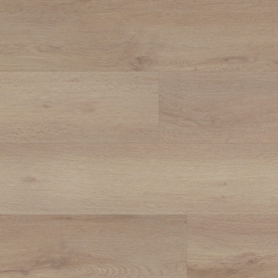 Floors & More