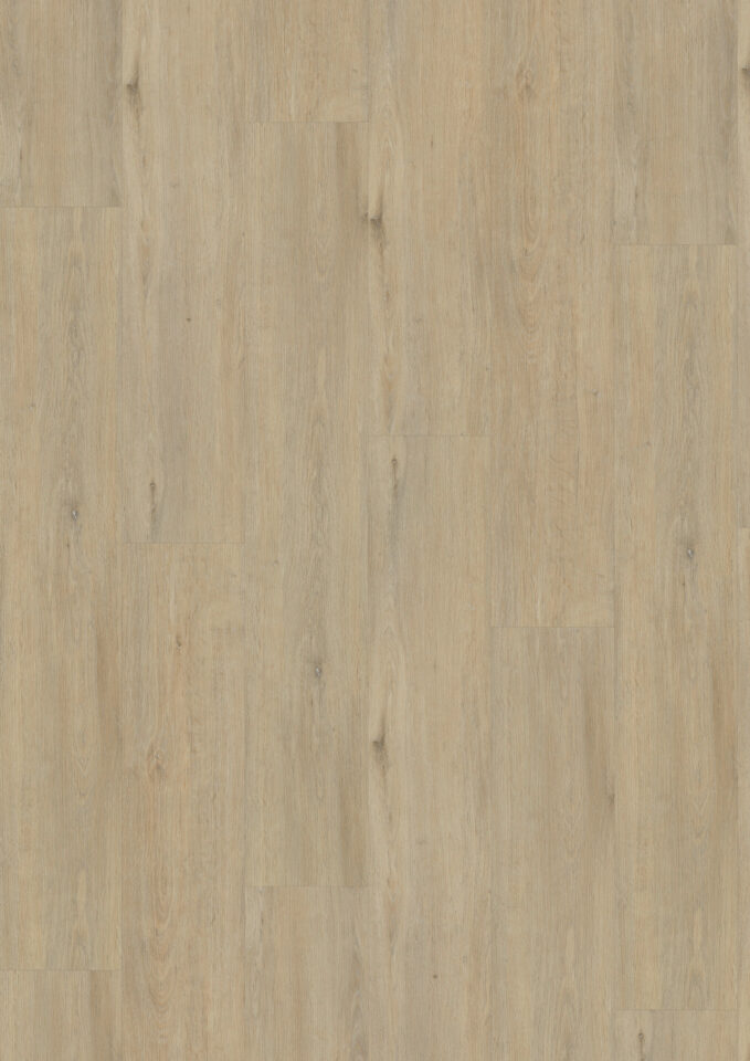 Floors & More