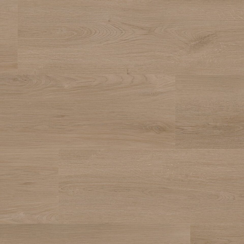 Floors & More