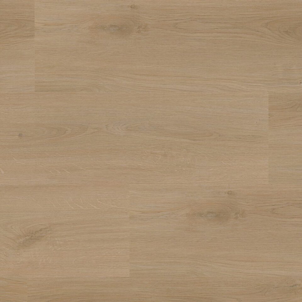 Floors & More