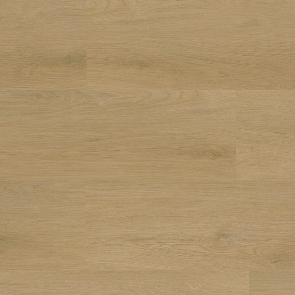 Floors & More