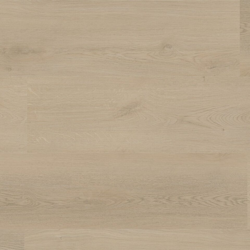 Floors & More