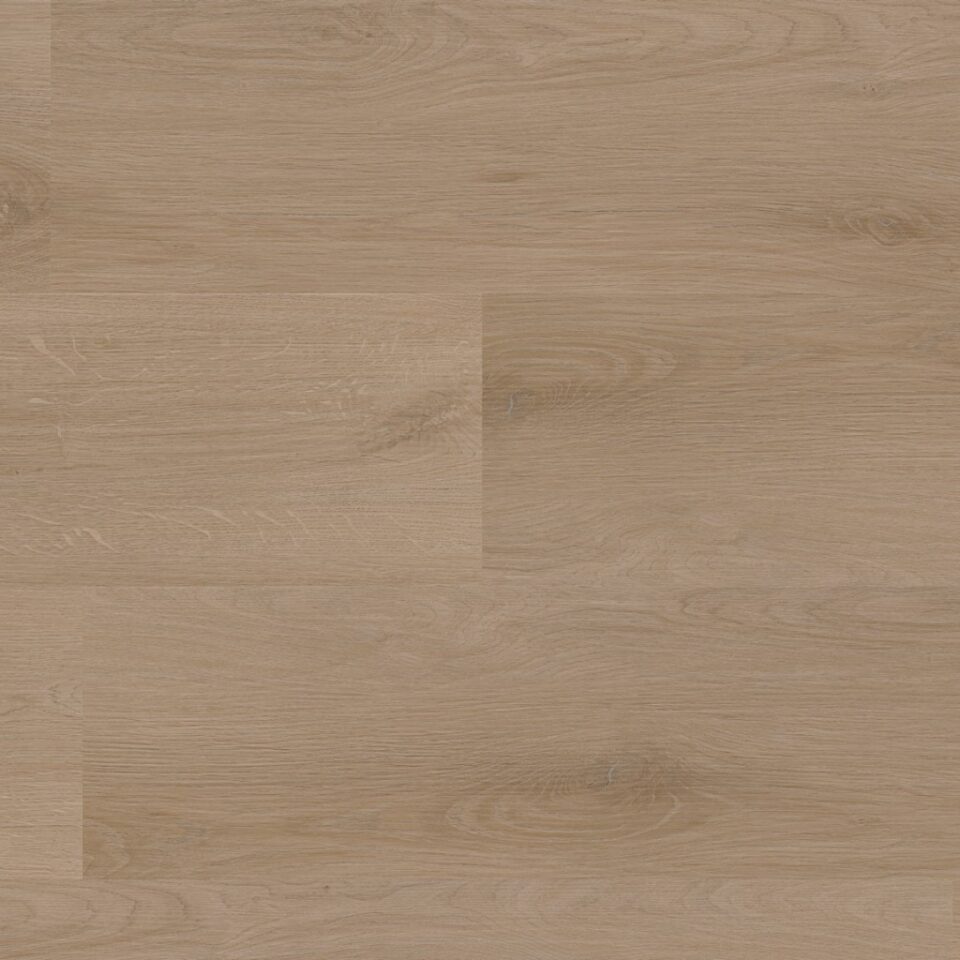 Floors & More