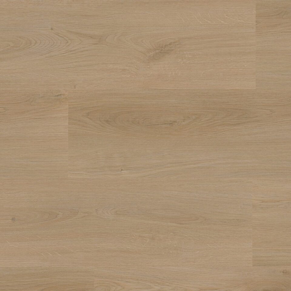 Floors & More