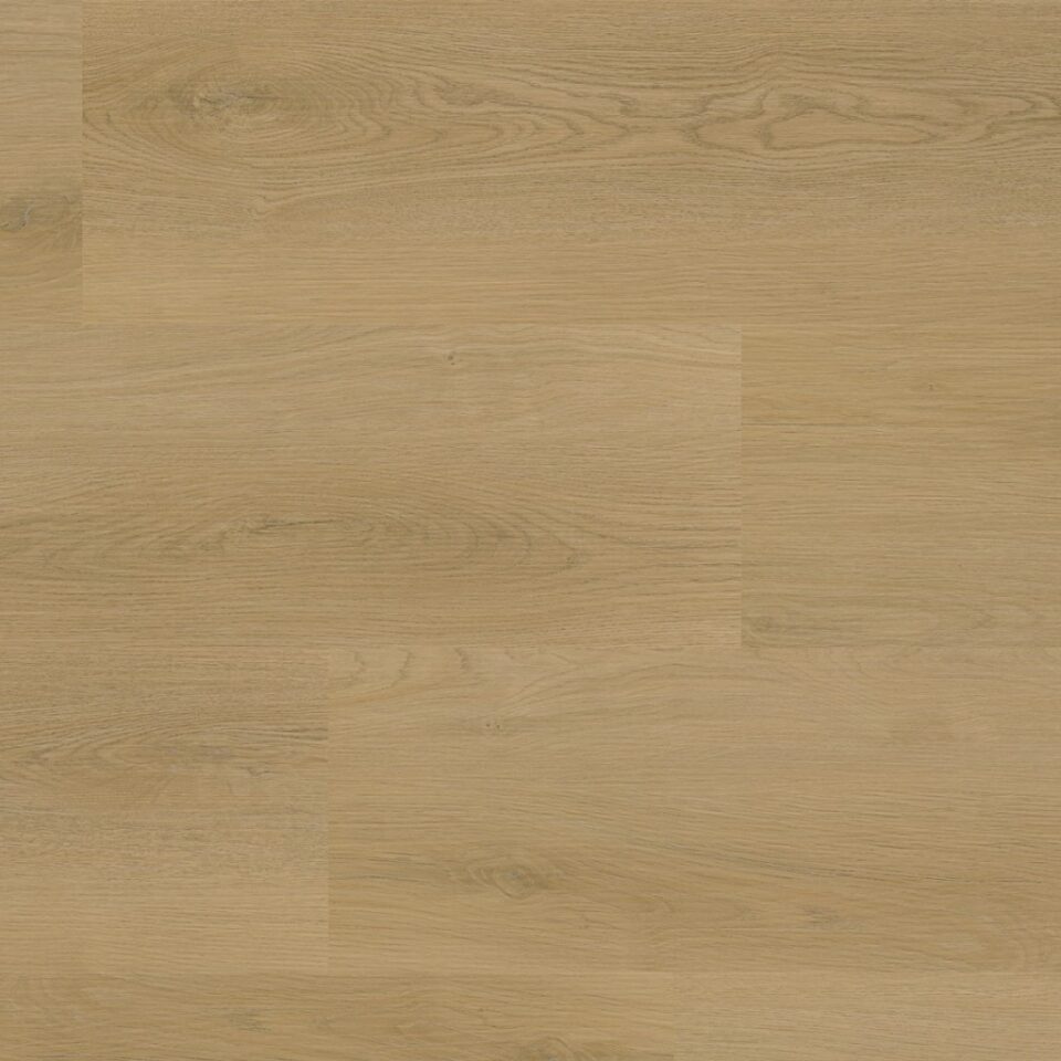 Floors & More