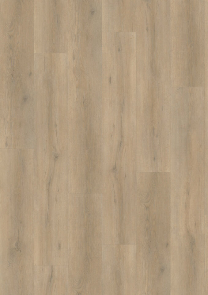 Floors & More