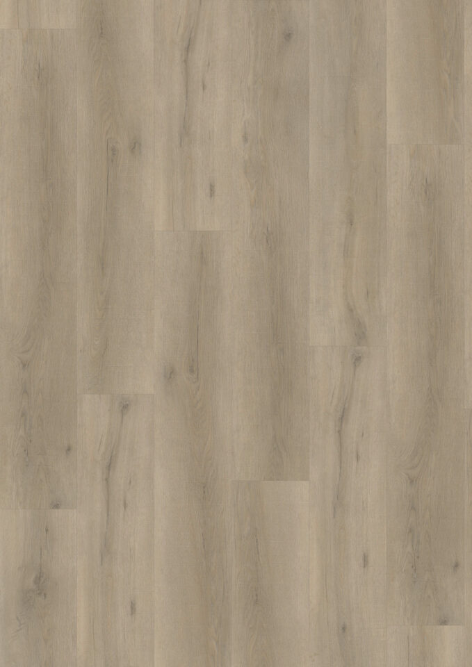 Floors & More