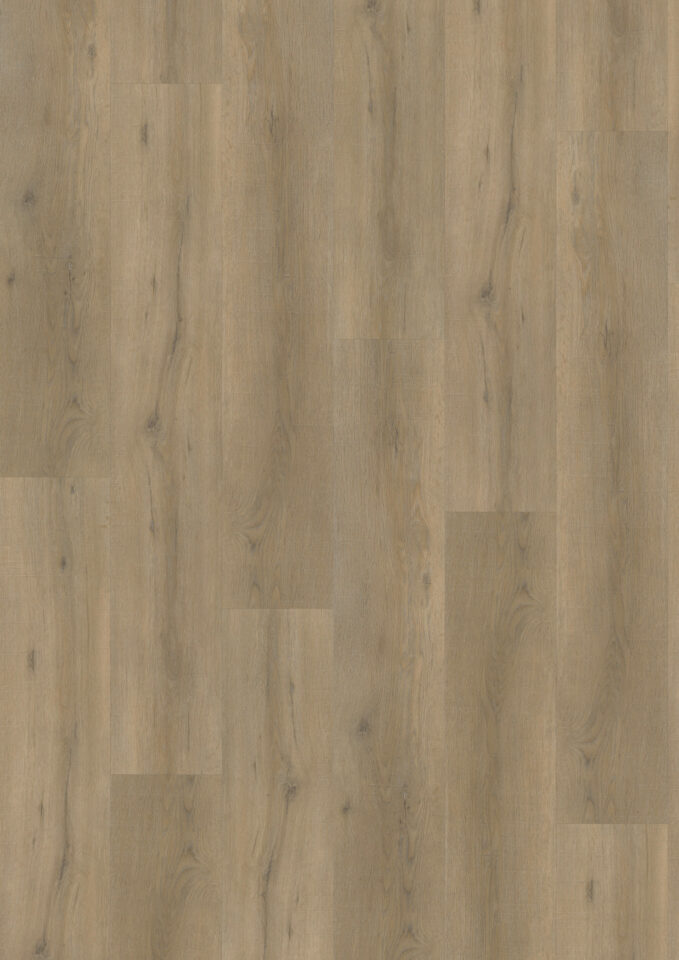 Floors & More