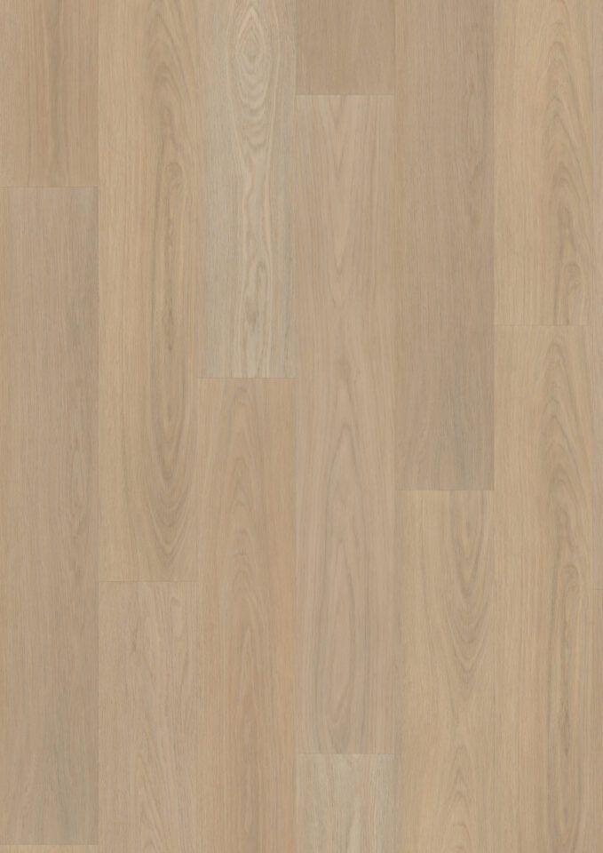 Floors & More