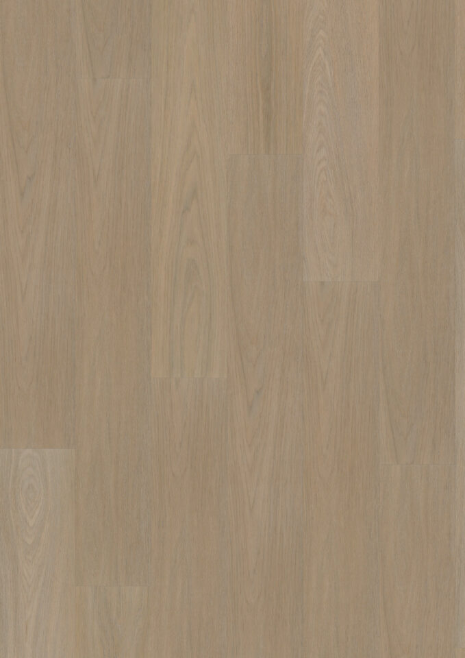 Floors & More