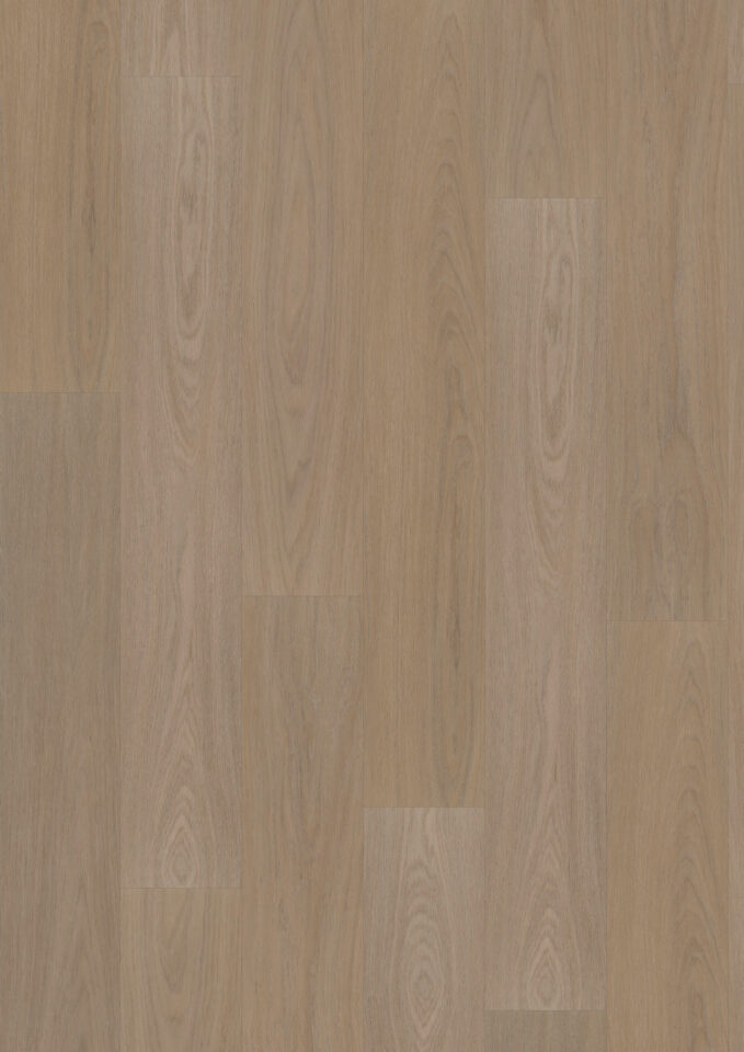 Floors & More