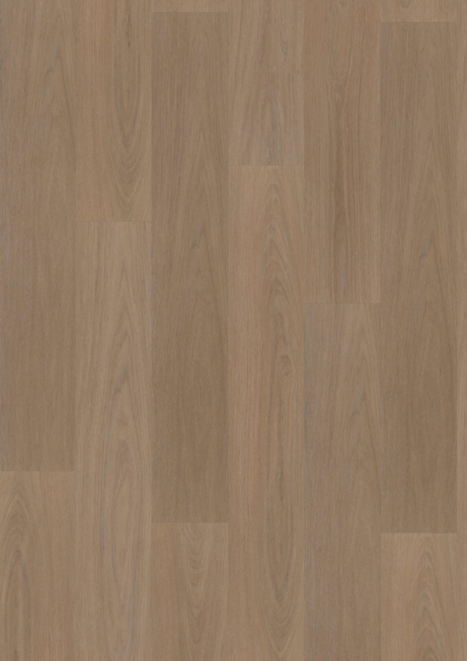 Floors & More