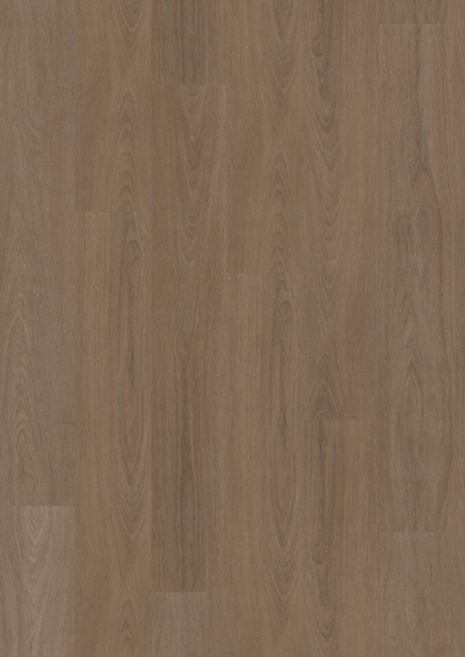 Floors & More