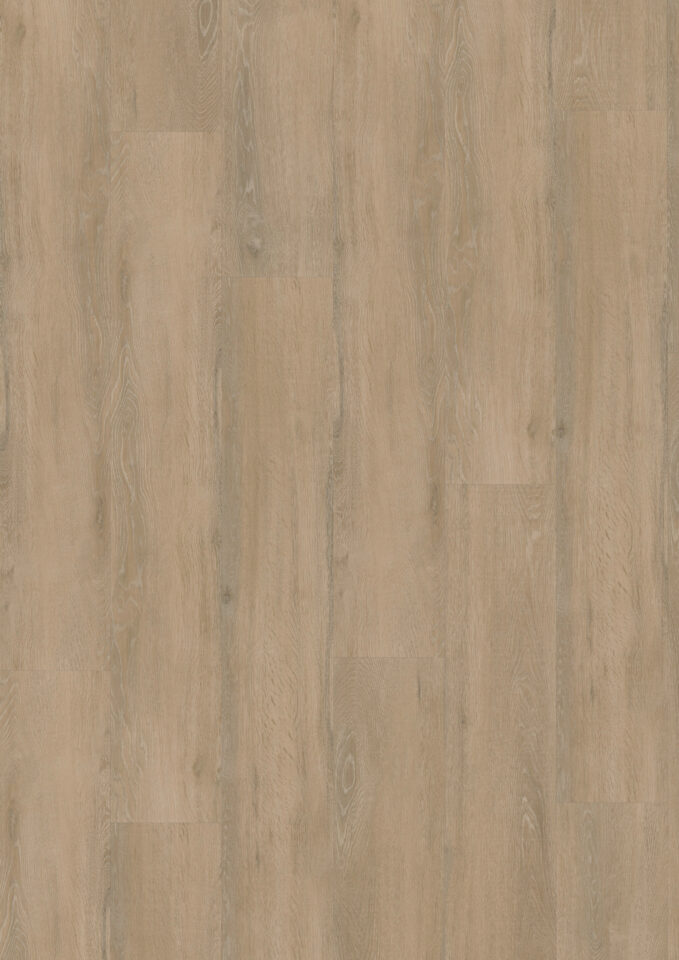 Floors & More