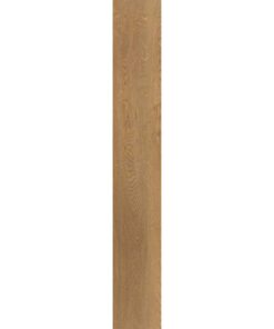 Alternative view of Belakos The Rigid 45